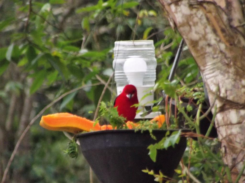 Pousada Miracolo Paraty Luaran gambar