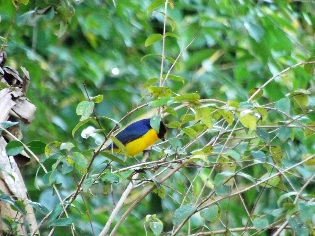 Pousada Miracolo Paraty Luaran gambar
